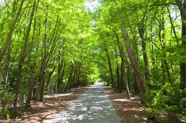 marmaris milli parkı